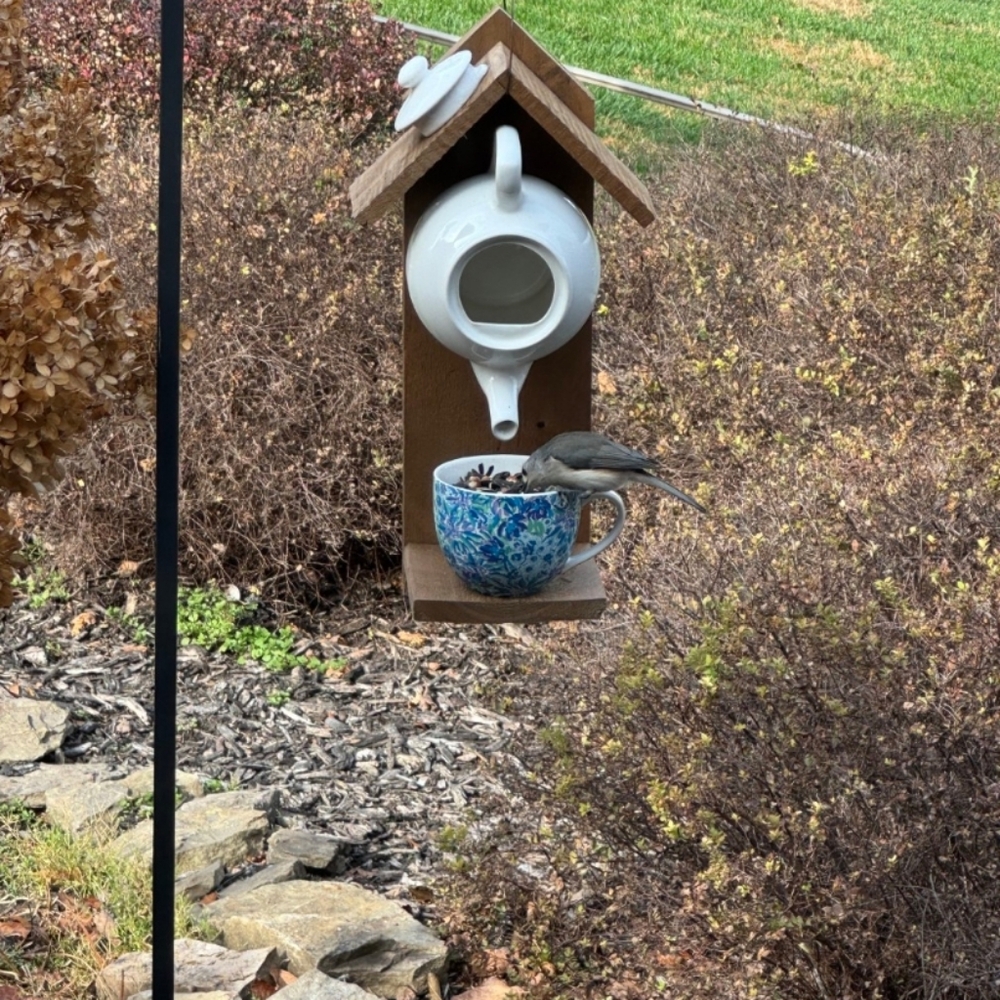 Rustic Wooden Handcrafted Bird Feeder Teapot Blue Bird Cafe - Picture 14 of 16